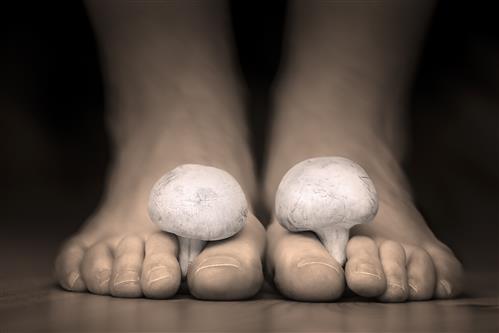 Two mushrooms stuck between toes